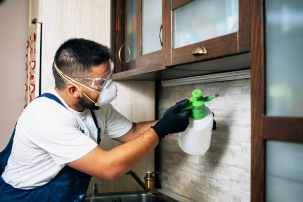 Best Mosquito Control Services  in Willard, UT