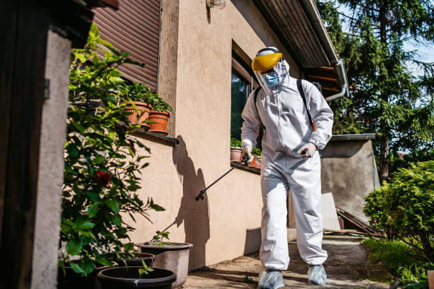 Professional Pest Control in Willard, UT