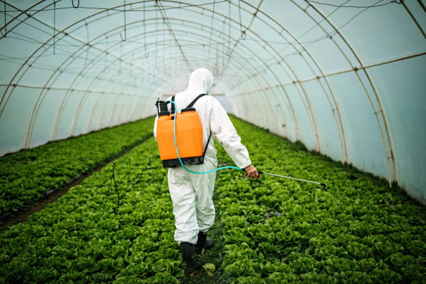Best Local Pest Control Services  in Willard, UT