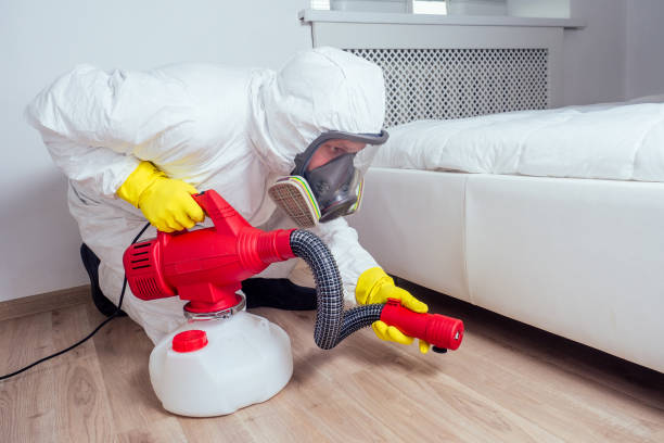 Best Best Pest Control Companies  in Willard, UT