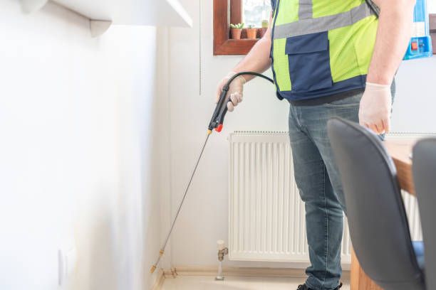 Best Affordable Pest Control Services  in Willard, UT