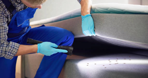 Best Commercial Pest Control Services  in Willard, UT