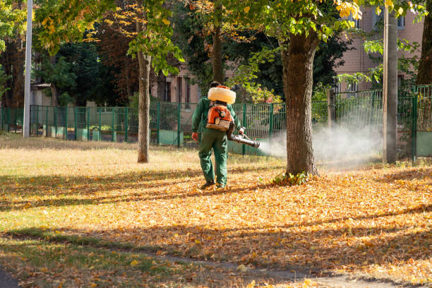 Best Pest Removal Services  in Willard, UT