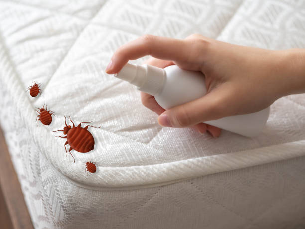 Best Best Pest Control Companies  in Willard, UT