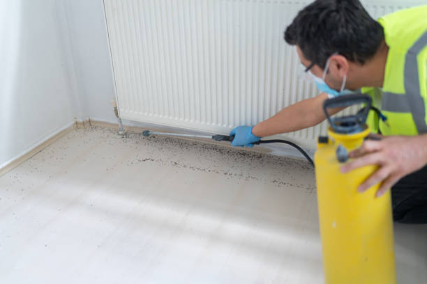 Pest Prevention Services in Willard, UT